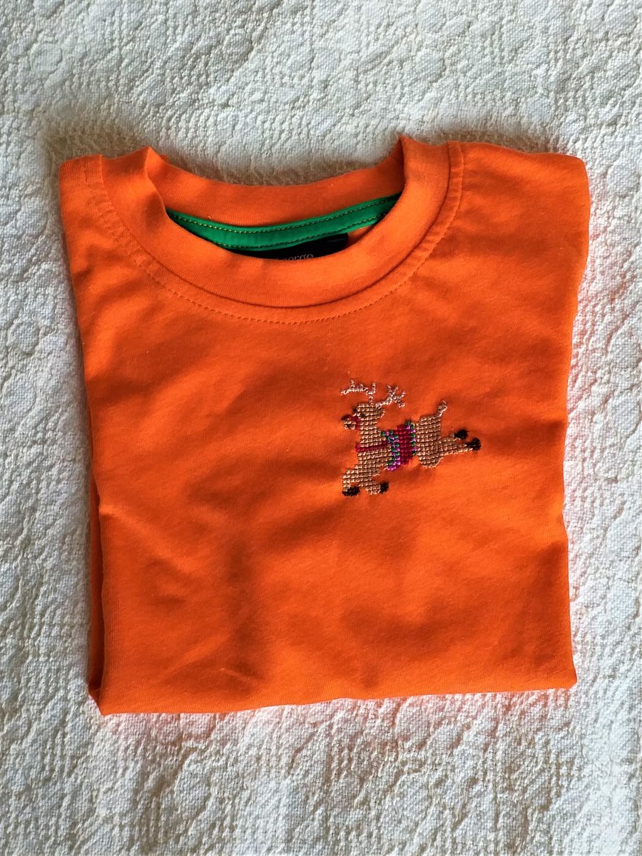 Reindeer T-shirt Age 4-5