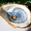 Oyster Shell Trinket Dish