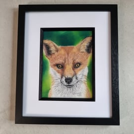 Beautiful English Red Fox fine art pastel painting original art not a print