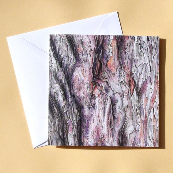 Greetings Card - Blank - Yew Tree Bark