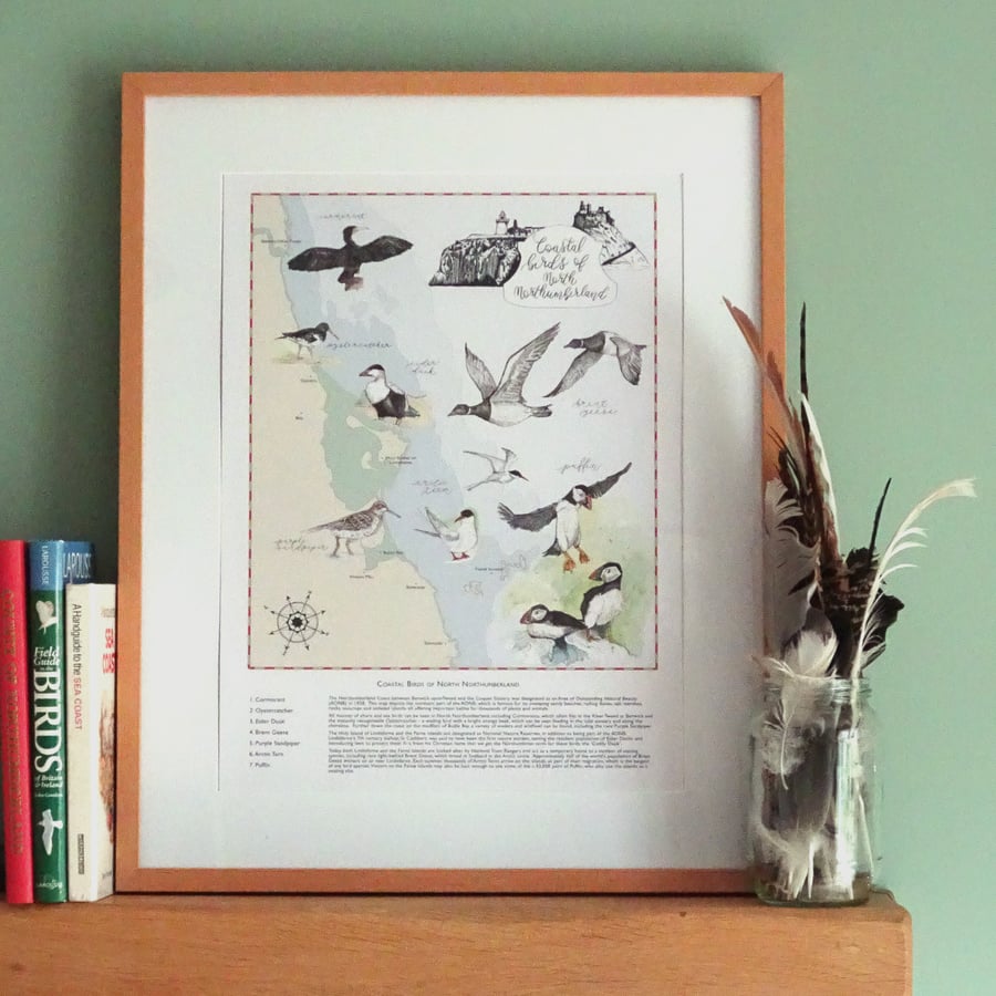 Northumberland Coastal Birds Map Art Print - Eco Wall Art  (A4 size)