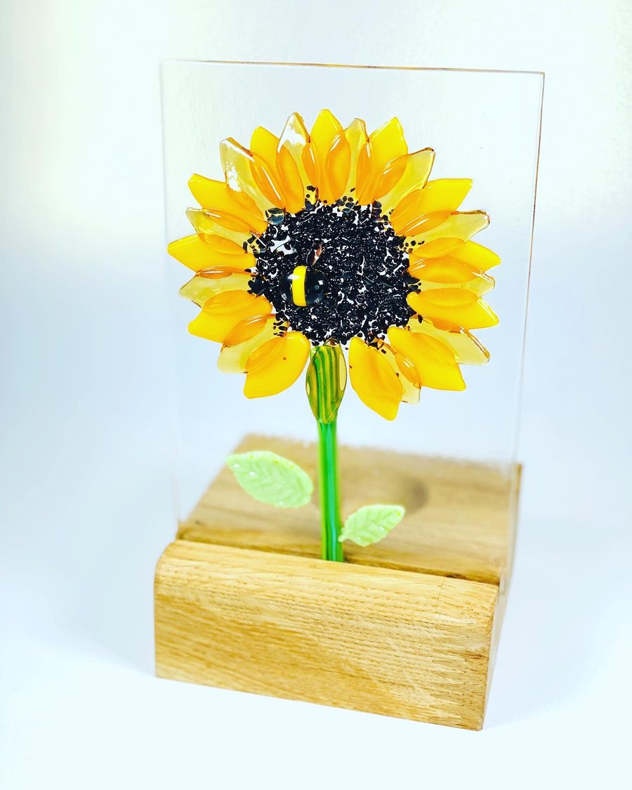 ( reserved for Nicky ) Sunflower, fused glass art panel in an oak base 
