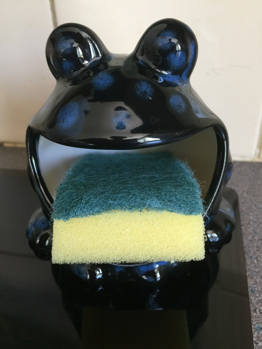 Frog sponge holder, kitchen decor, scrubby holder, soap holder housewarming gift