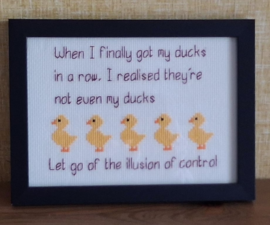 Ducks in a Row – Funny Handmade Cross Stitch Quote – Black Framed Gift 5x7