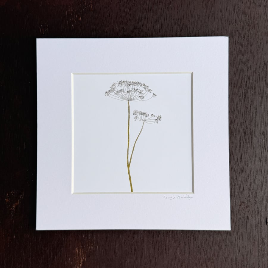 'Dill' 8" x 8" Mounted Print