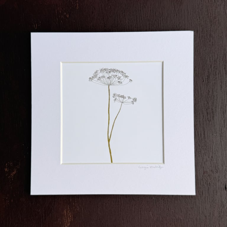 'Dill' 8" x 8" Mounted Print