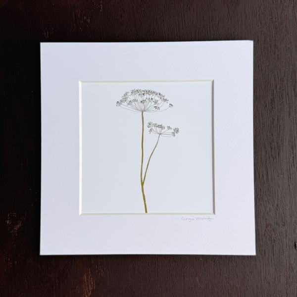 'Dill' 8" x 8" Mounted Print