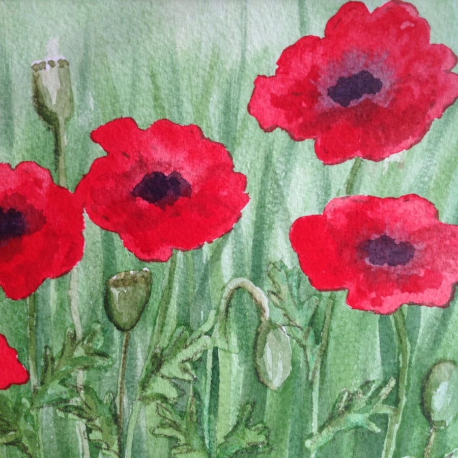 Red Poppies In Long Grass watercolour