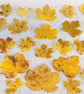 ECO BOTANICAL PRINTED MEDIUM TOTE BAG - Image 7