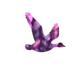 Wild Goose Hand Knits