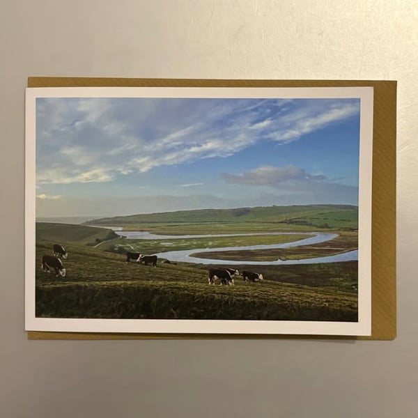 Cuckmere Cows A5 Greeting Card