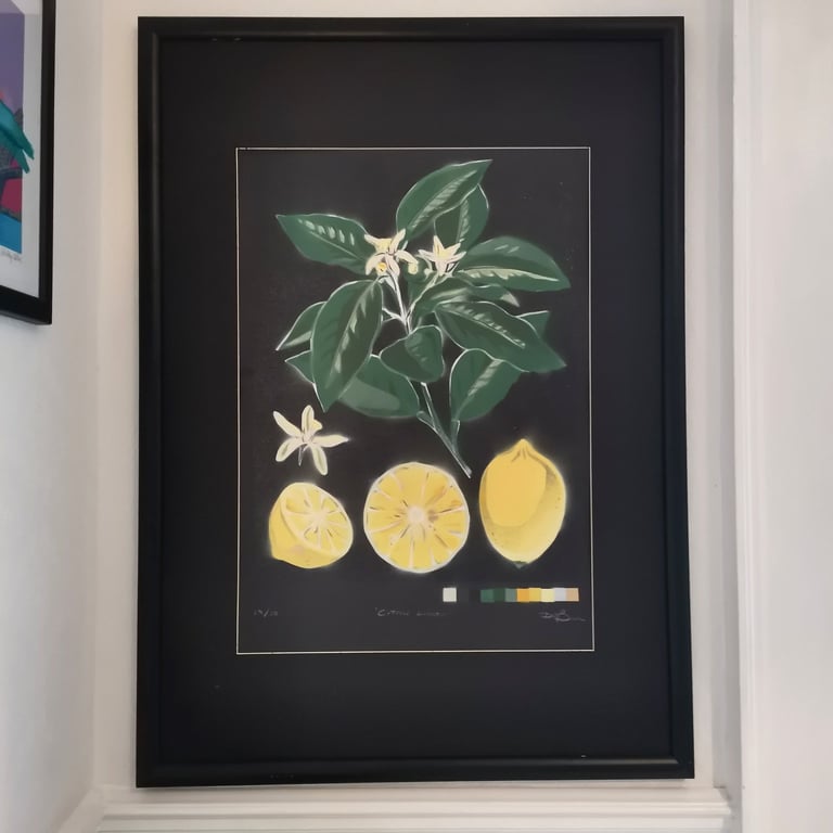 Citrus Limon