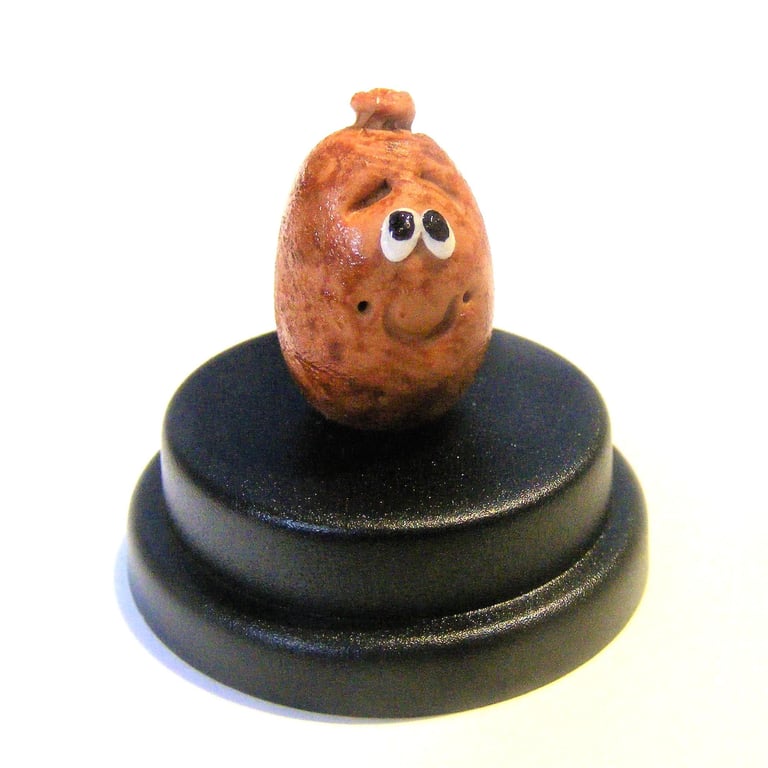 Pet Haggis, Burns night gift, Scottish gift, Haggis gift, Scotland, comedy gift 