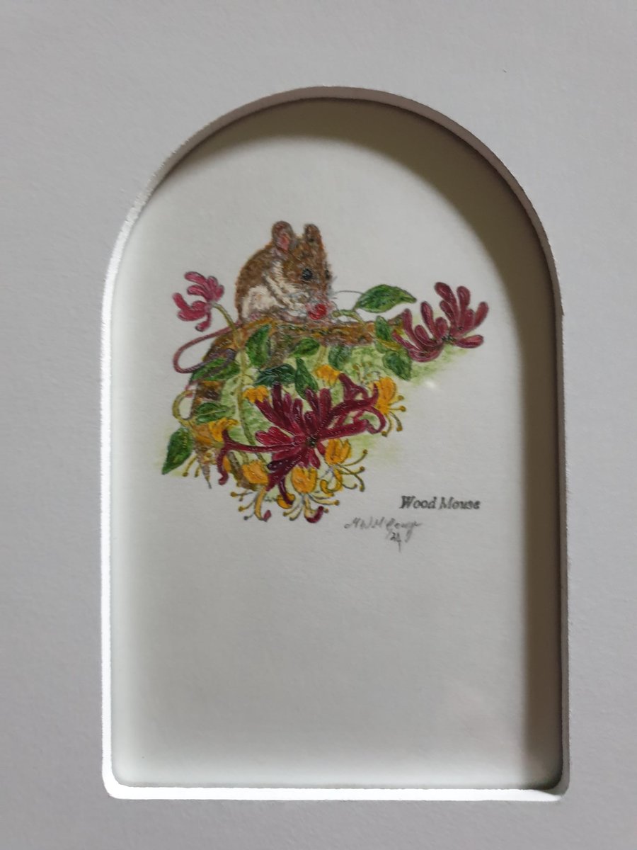 Original Mixed Media And Water Colour Picture Framed Free P&P