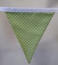 Rainbow Bunting - Image 3