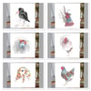 ‘Birds of a Feather’  Top Draw bundle 
