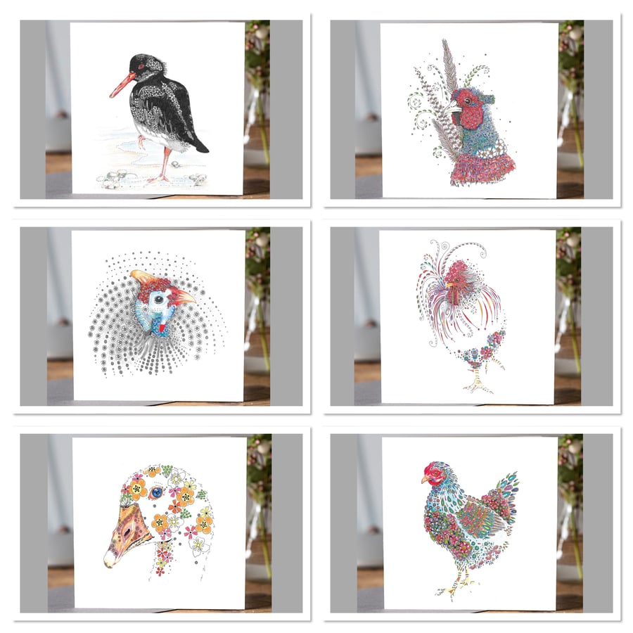 ‘Birds of a Feather’  Top Draw bundle 