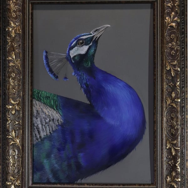 Peacock Artwork, Original not Print, Wall Decor Traditional Bird Lover Art