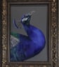 Peacock Artwork, Original not Print, Wall Decor Traditional Bird Lover Art