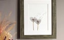 10" x 8" Framed Prints