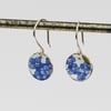 Forget me not  enamelled earrings