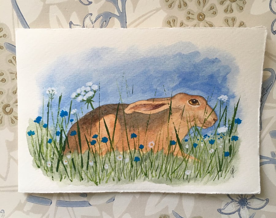 Resting hare original card