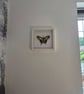 Original Papercraft Specimen-style - Swallowtail Butterfly - Image 2
