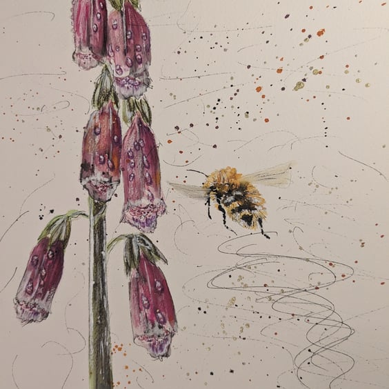 An A4 or A5 Limited edition print ' A Taste of Summer' ( Foxglove and Bumblebee)