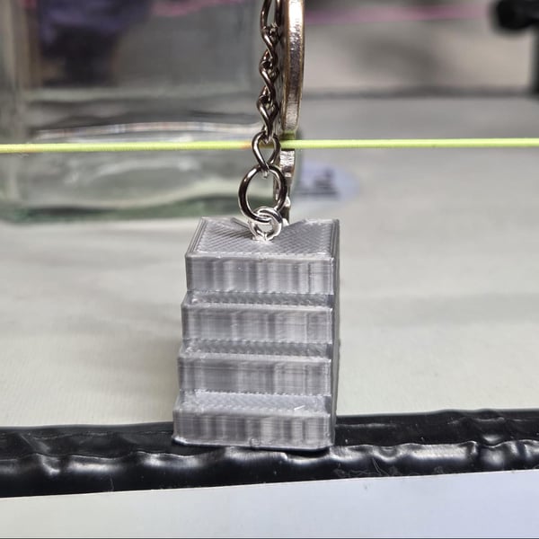 Steel step's pro wrestling keychain: Wrestling keyring AEW WWE WWF Jewellery