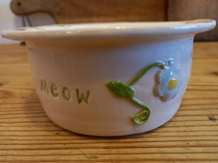 Cat bowl