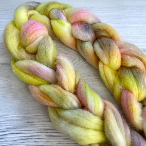 Polwarth Hand Dyed Fibre, Combed Top or Roving 100g