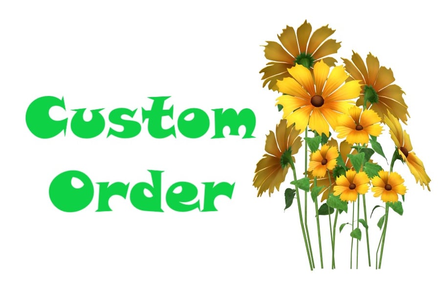 Custom Order For Lizzie Only