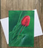 Large greeting card of ‘Dew Drop Tulip’ by UK artist Janet Bird - Image 1