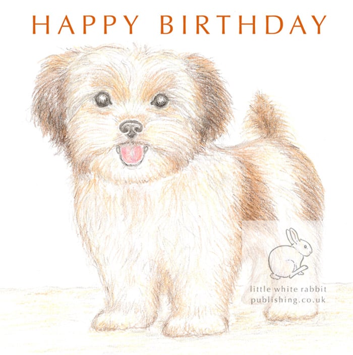 Lizzie the Shih Tzu Cross - Birthday Card
