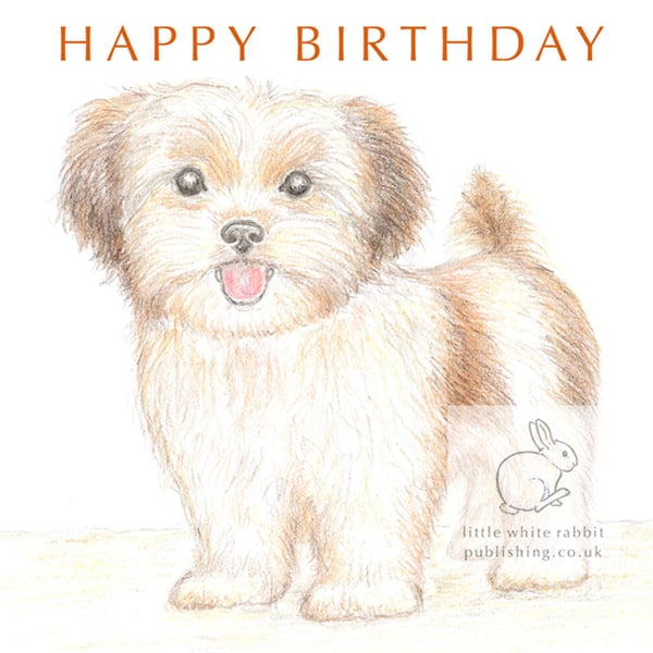 Lizzie the Shih Tzu Cross - Birthday Card