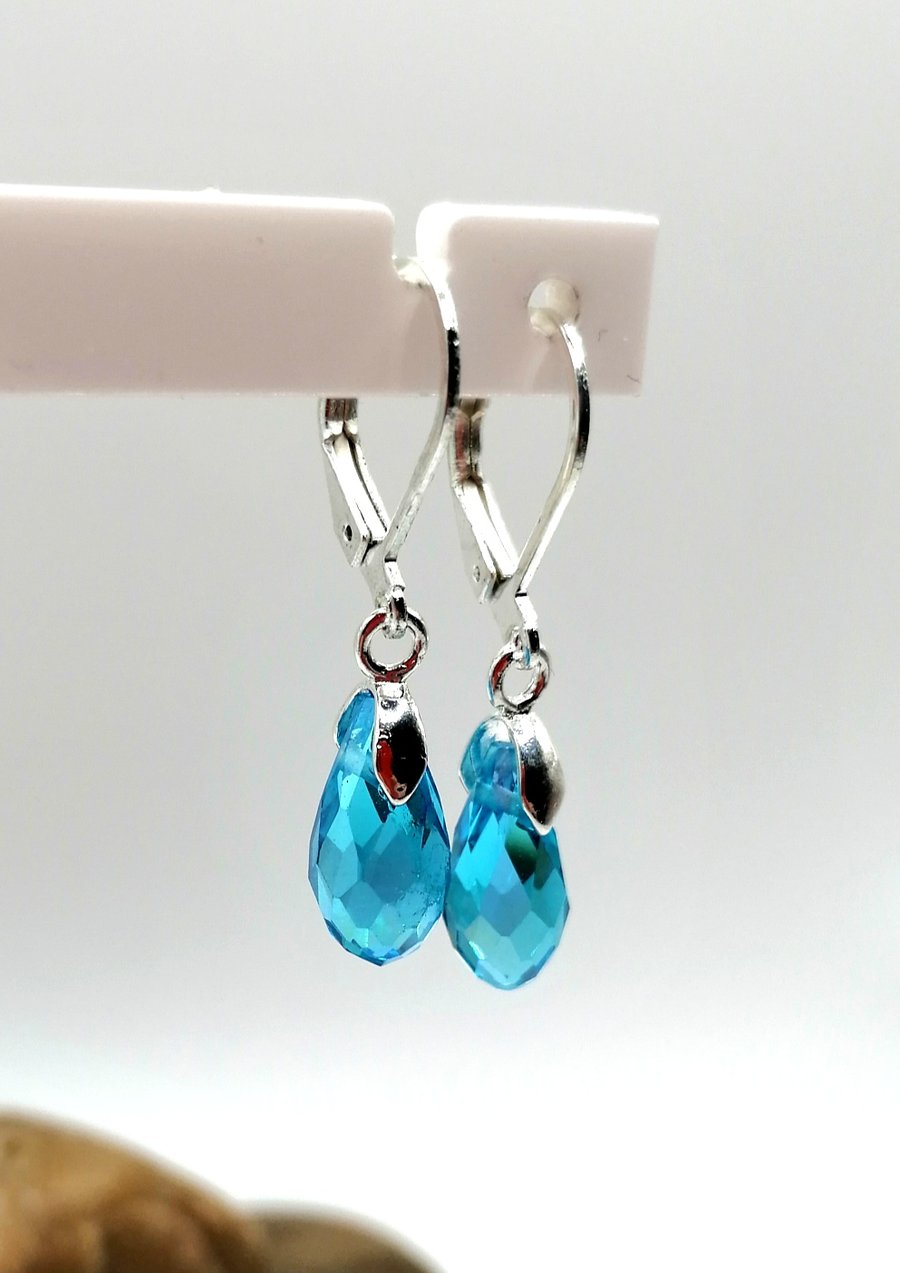 Turquoise Coloured Earrings