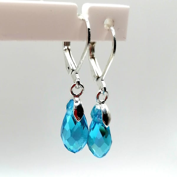 Turquoise Coloured Earrings
