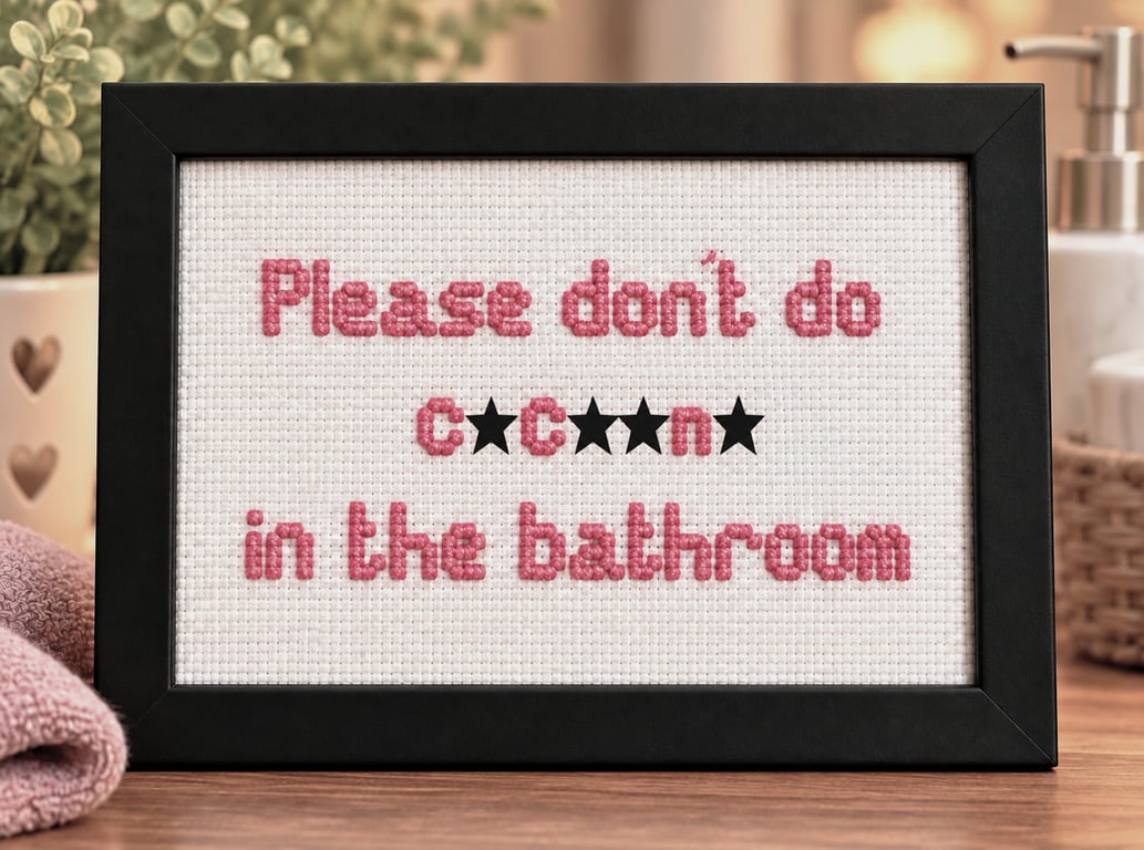 Funny Handmade Framed Cross-Stitch – Please Don't Do C.c..n. in the Bathroom 