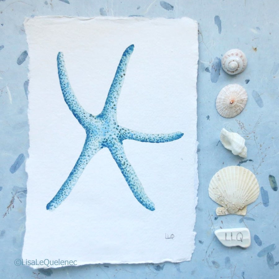 Sale Starfish aqua watercolour art seaside style shell collection beach art