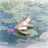 Sterling Silver Frog Necklace