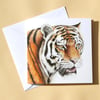 Greetings Card - Blank - Tiger Head