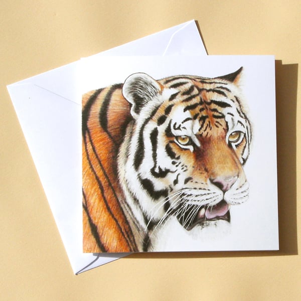 Greetings Card - Blank - Tiger Head