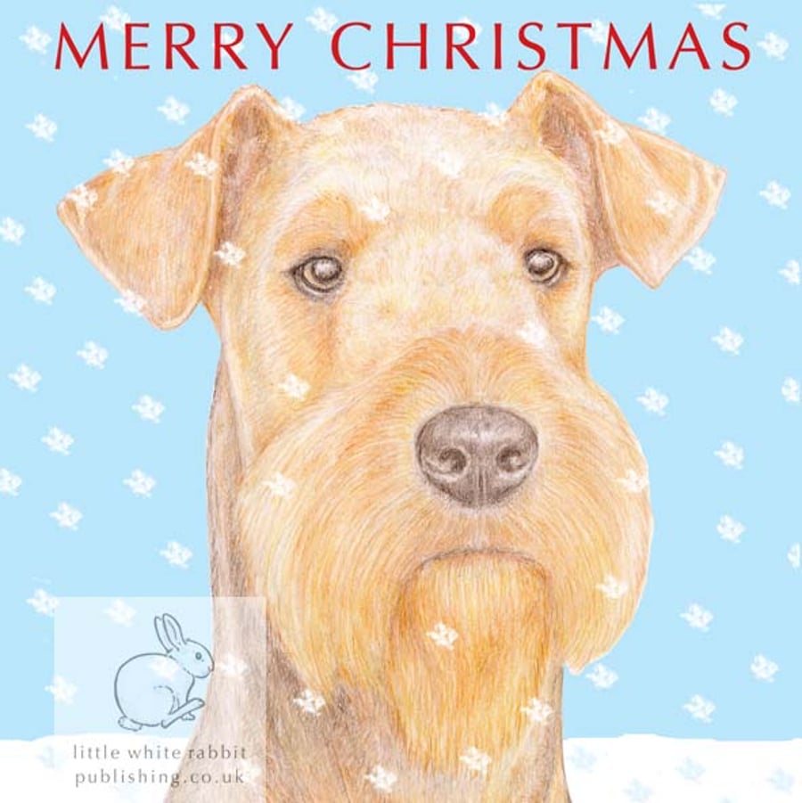 Angus the Airedale Terrier - Christmas Card