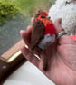 Robin redbreast bird tree decoration hand knit by me  - Image 2