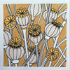 Poppy seed heads original drawing