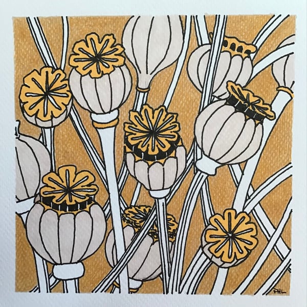 Poppy seed heads original drawing Folksy