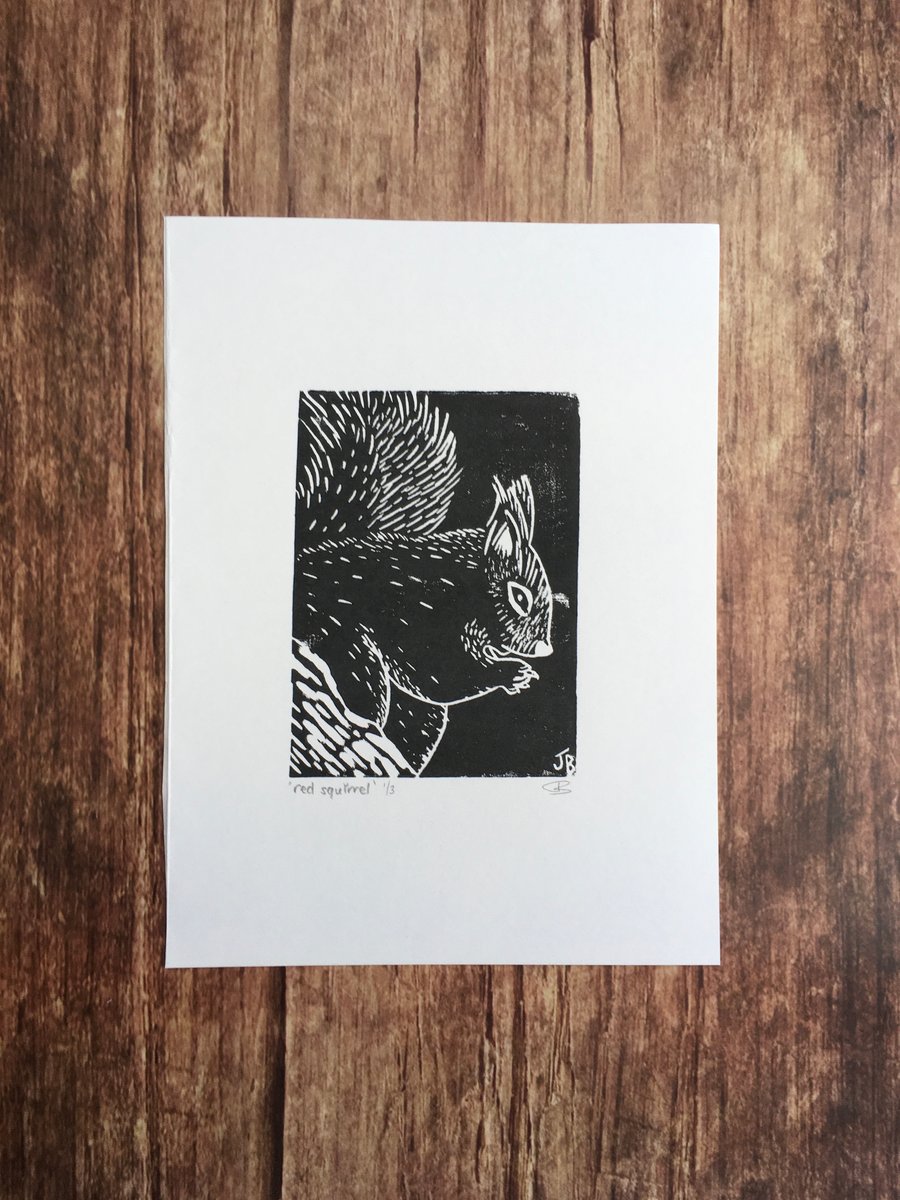 Original Red Squirrel lino print