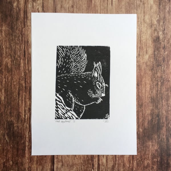 Original Red Squirrel lino print