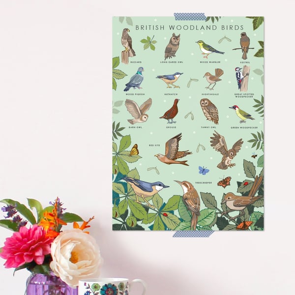 British Woodland Birds Poster - Field Guide Poster - A3 sized