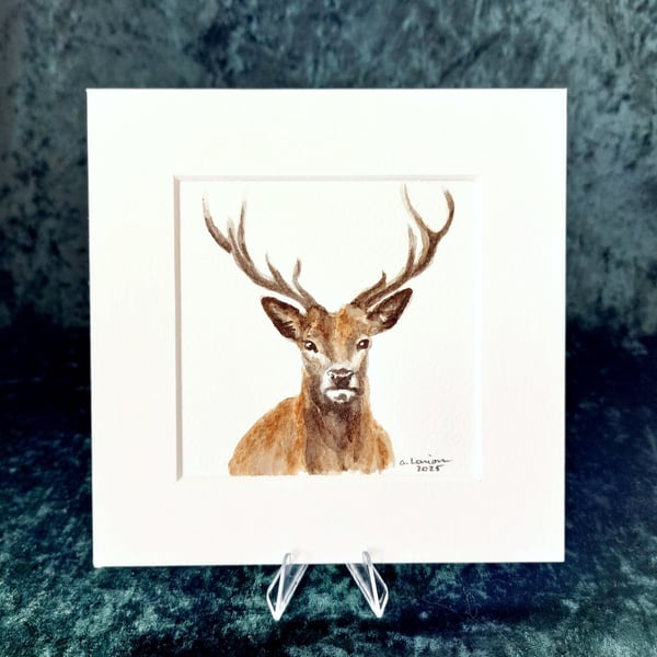 Stag - Original Watercolour Painting